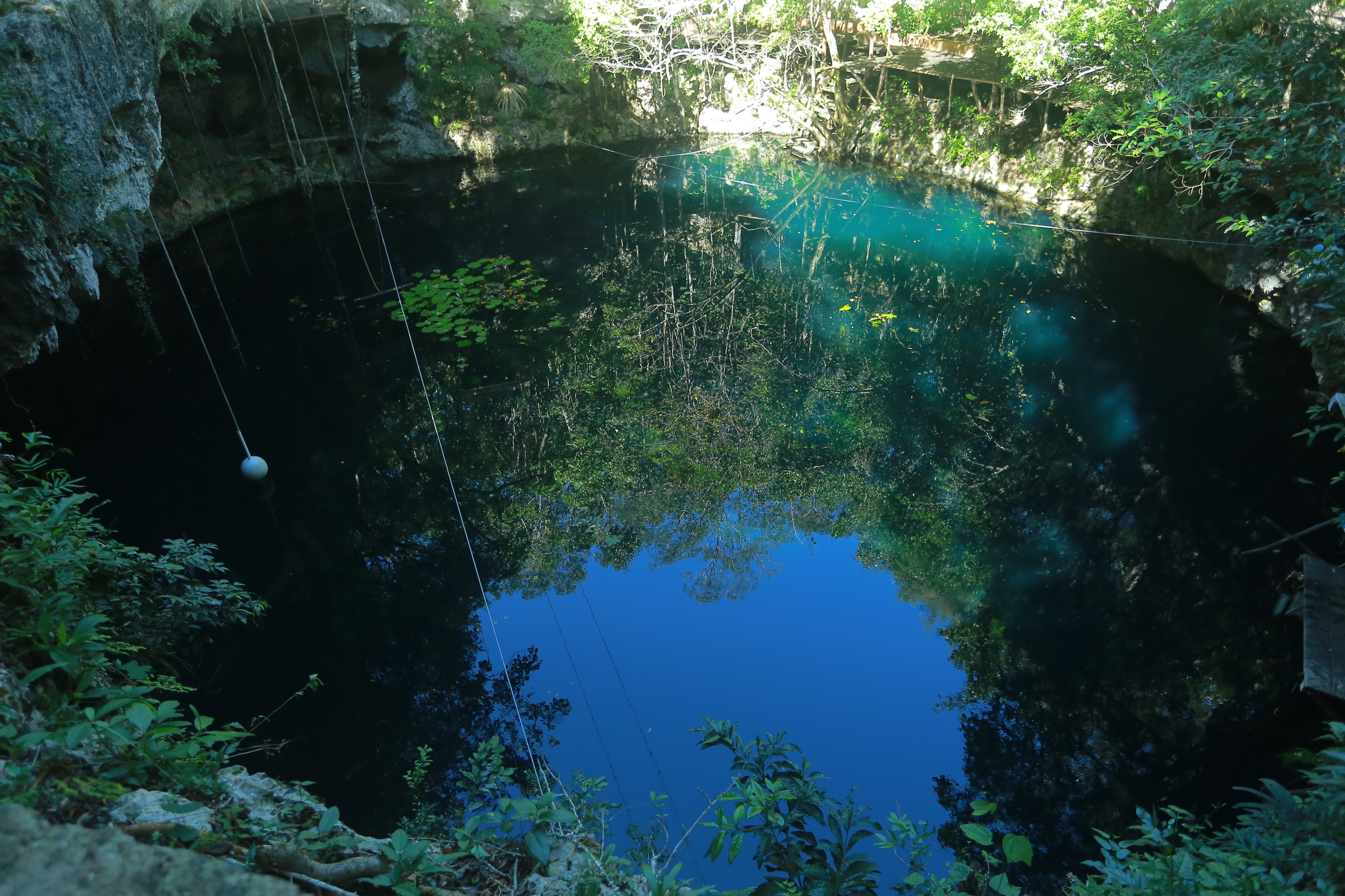 Natural cenote water and limestone walls in Puerto Morelos on Ruta de los Cenotes