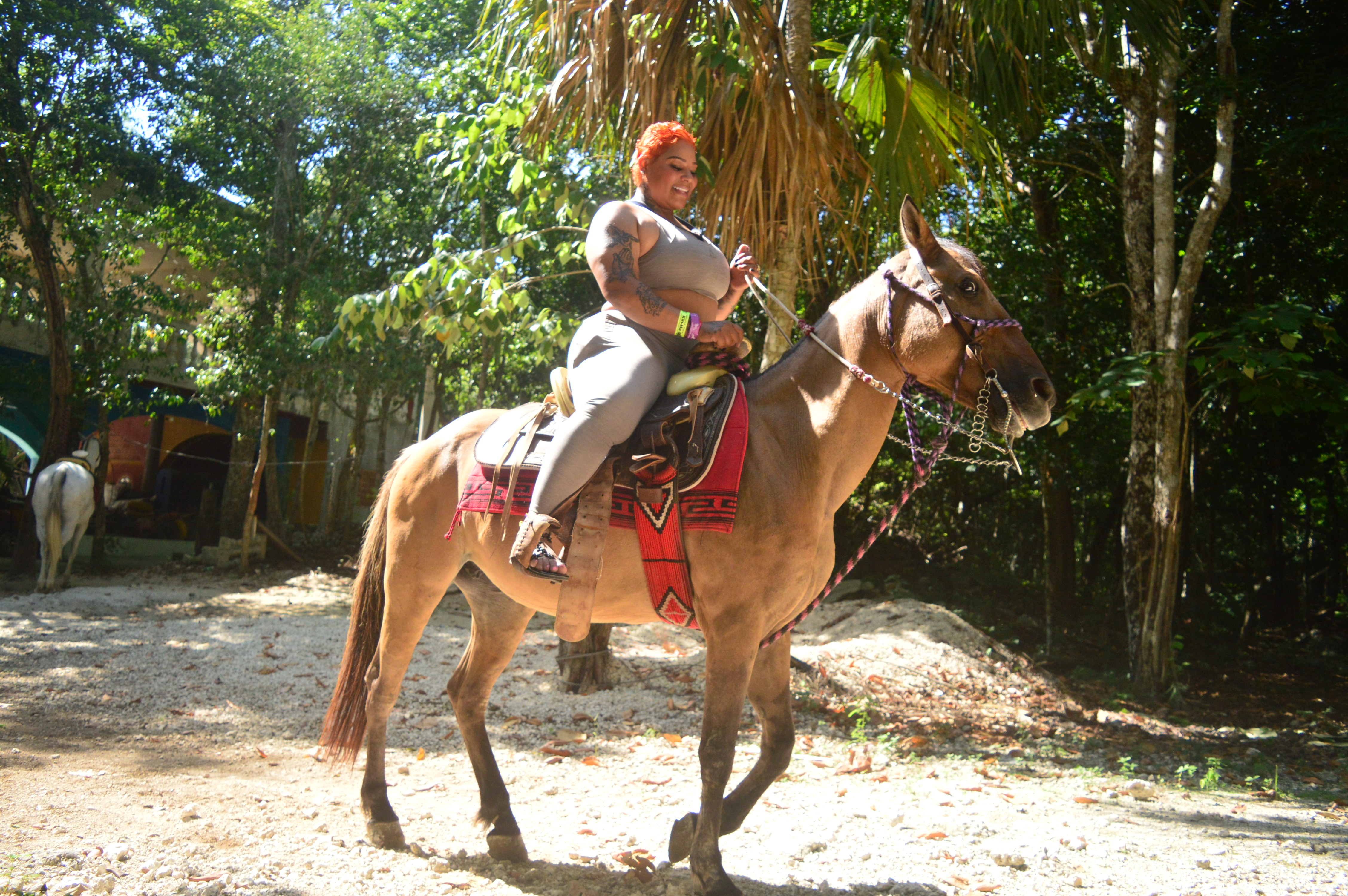 Horseback riding on shaded jungle trails near Puerto Morelos cenotes