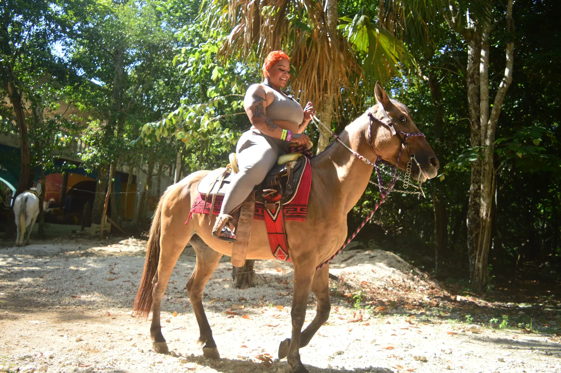 Horseback riding on shaded jungle trails near Puerto Morelos cenotes